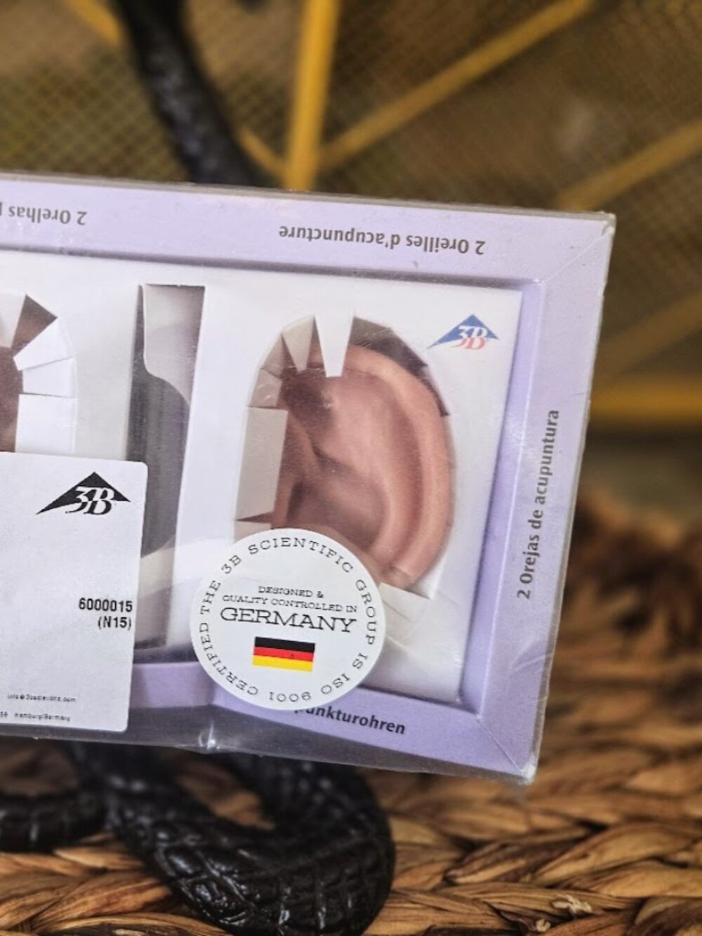 3B Scientific Acupuncture Ears Model Set (Left & Right) - Brand New in Box - Picture 2 of 15